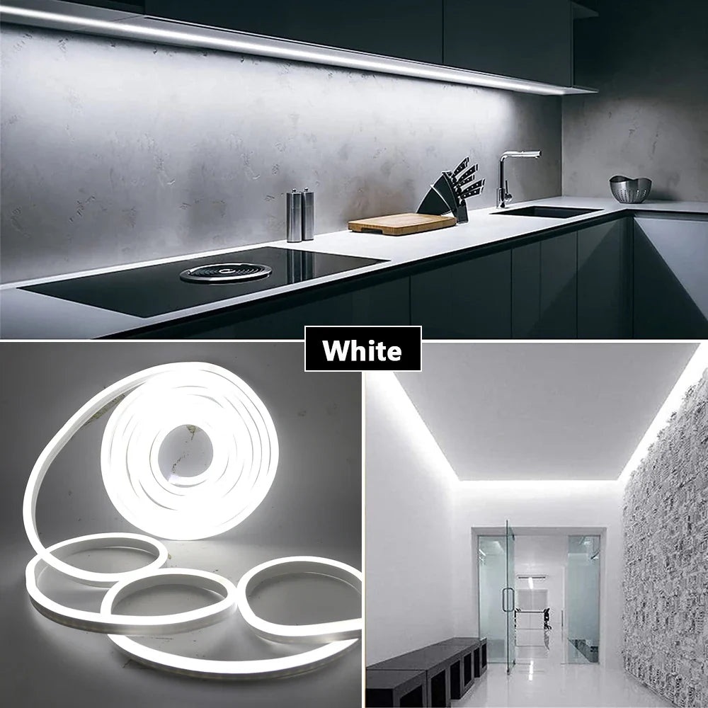 Flexible Waterproof Neon light  5 Meter DC 12V PURE WHITE