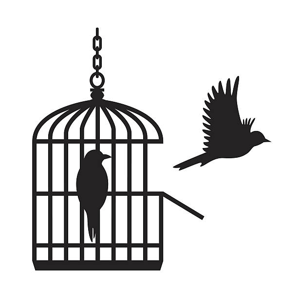 bird flying away from cage Wall sticker Wooden material