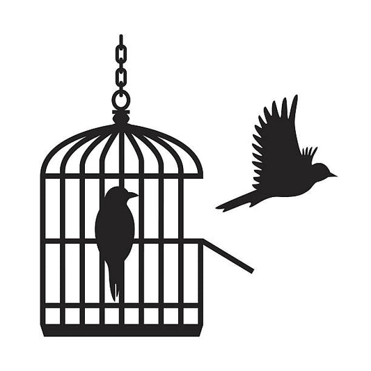 bird flying away from cage Wall sticker Wooden material